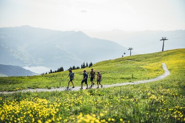 Group hiking along a trail through a green landscape with yellow flowers and mountain view in the background. | © Zell am See-Kaprun Tourismus